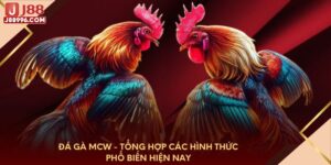 Đá gà MCW - Tổng hợp các hình thức phổ biến hiện nay