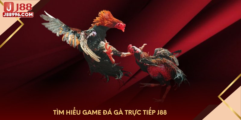 Tìm hiểu game đá gà trực tiếp J88