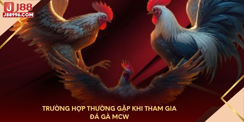 Trường hợp thường gặp khi tham gia đá gà MCW